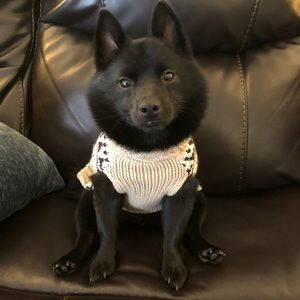 Meet your Posher, Jackie